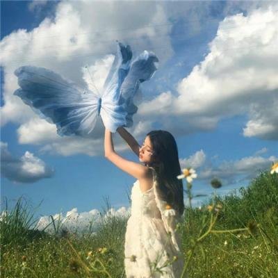 芫荽与欧芹